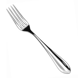 Fortessa Forge 18/10 Stainless Steel Flatware Table Fork, Set of 12,Silver