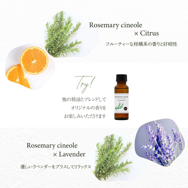 Natural 100% Rosemary Cineol Oil 30ml Essential Oil Essential Oil