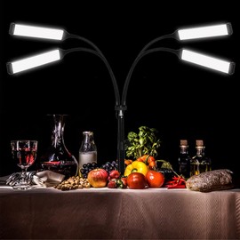 Four Arms LED Light for Photography,2800k-6500k CIR80+ 30w Fill Light for Live Stream Video Recording Eyebrow Tattoo Makeup YouTube Videos Product Photography