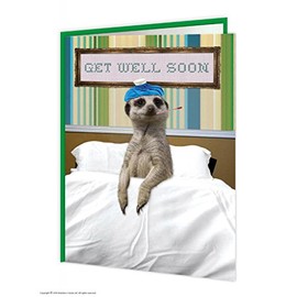Get Well Soon Meerkat Card