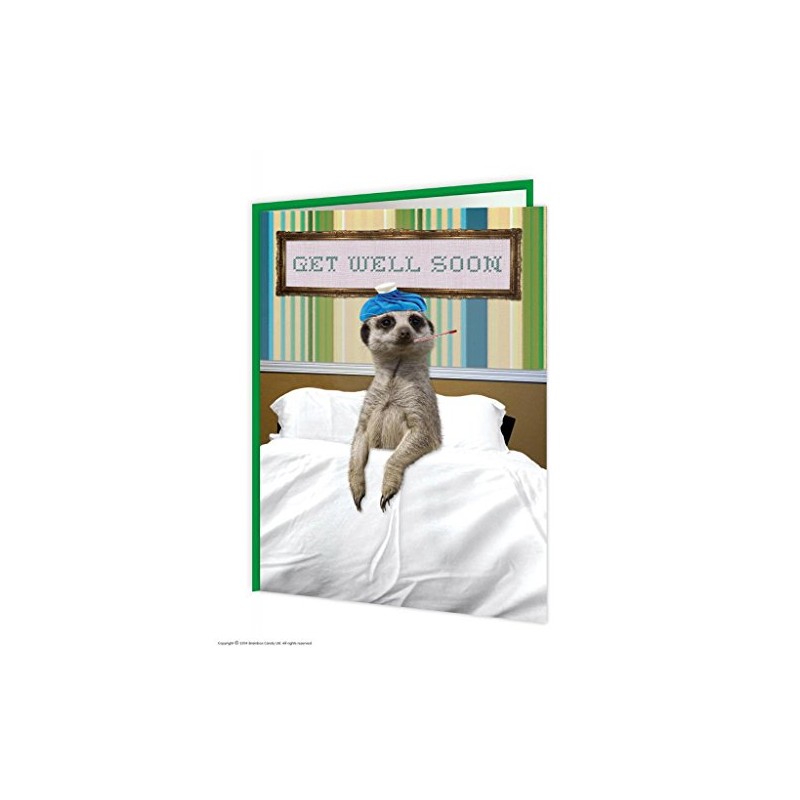 Get Well Soon Meerkat Card