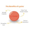 VITA PHARMA L-Lysine 1000mg 240 Tablets | Essential Amino Acid