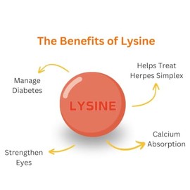 VITA PHARMA L-Lysine 1000mg 240 Tablets | Essential Amino Acid | Protein Synthesis Support | Collagen Formation Support