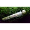 Cunguv Planaria Trap Leech Trap Flatworm Trap 3 Holes Leeches