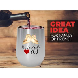 Bird Lover Pink Edition Wine Tumbler 12oz - Short Penguin Size - Hummingbird Nest Cage Parrot Dad Gardening Outdoor Birdwatcher Feeder