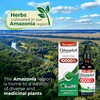 FITO MEDIC'S Lab | Liquid Chlorophyll | Chlorophyll Liquid Drops