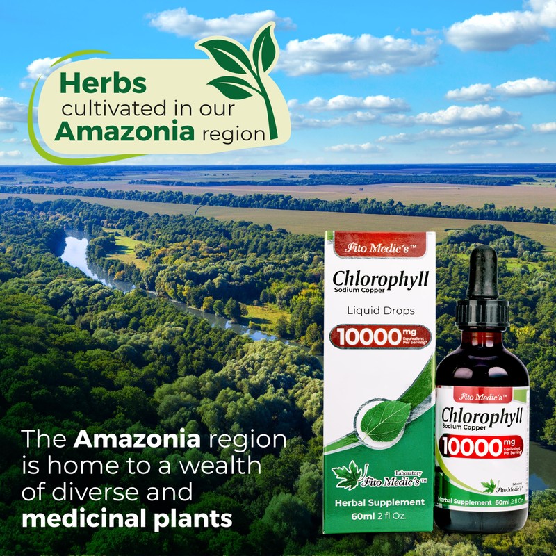 FITO MEDIC'S Lab | Liquid Chlorophyll | Chlorophyll Liquid Drops
