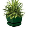 Cubiark Garden 6 Inch Square Planter Pot, with Saucer Tray