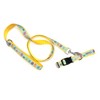 The Worthy Dog Easter Eggs Stylish & Durable Dog Collars