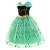 Princess Costume for Girls Green Dress Up with Accessories for