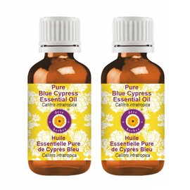 dève herbes Blue Cypress Essential Oil (Callitris intratropica) Pure | Non-Sticky | Non-greasy | Lightweight | Men & Women | All Skin Types | Steam Distilled 15ml X 2 (1 oz)