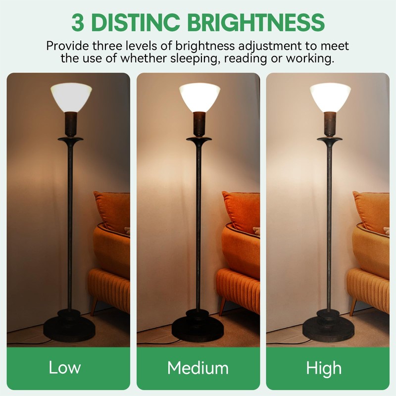 GEPLAD 2-Pack Mogul Base 3 Way LED Light Bulb, 10/20/30W,