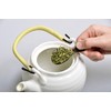 Sakai Sangyo Sakura Bark Tea, Gourd Cherry Blossom Gourd Cherry