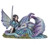Pacific Giftware Cold Cast Resin Fairy and Lying Sleeping Dragon
