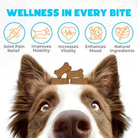 OKKÖBI Glucosamine HCL & Hip and Joint Chews for Dogs - 150 pcs - Advanced Hip and Joint Support for dogs - Vet approved US Formula with MSM & Green Lipped Mussel for dogs - Beef