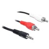 Delock Cable Audio 3.5 mm Jack Plug > 2 x