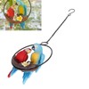 Metal Ring Double Parrot Statue Decorative Resin Perching On Branch