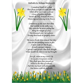 Motivational Inspirational Poem Sign Poster Print Daffodils William Wordsworth.