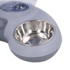 Double Cat Bowls Pet Food and Water Bowl Set Tilted
