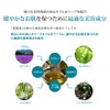 Mummy Coral Seisoshun, 2.8 fl oz (80 ml) Full Body