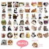 50PCS Water Bottle Stickers for Kids Teens,Funny Cat Emoji Stickers,Cute