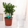 ORIMERC 30 feet 1/6 inch Self Watering Capillary Wick Cord
