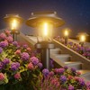 ALEPOD Solar Pathway Lights Outdoor - 8 Pack Solar Powered