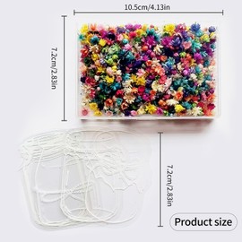 520 Mini Pressed Dried Flowers for Resin Crafts with 5 Transparent Laminating Films - Bulk Tiny Flowers for Bookmarks, Jewelry, Candles, DIY Epoxy Resin Accessories