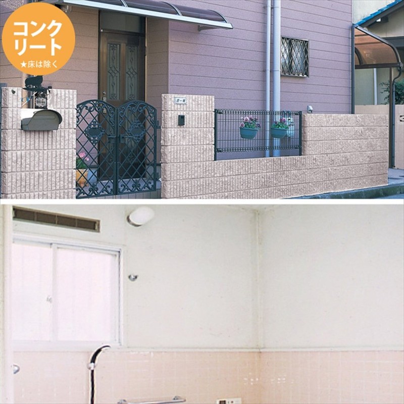 Kanpe Hapio Friends 00077650111002 Water-Based Paint, Made in Japan, 6.8