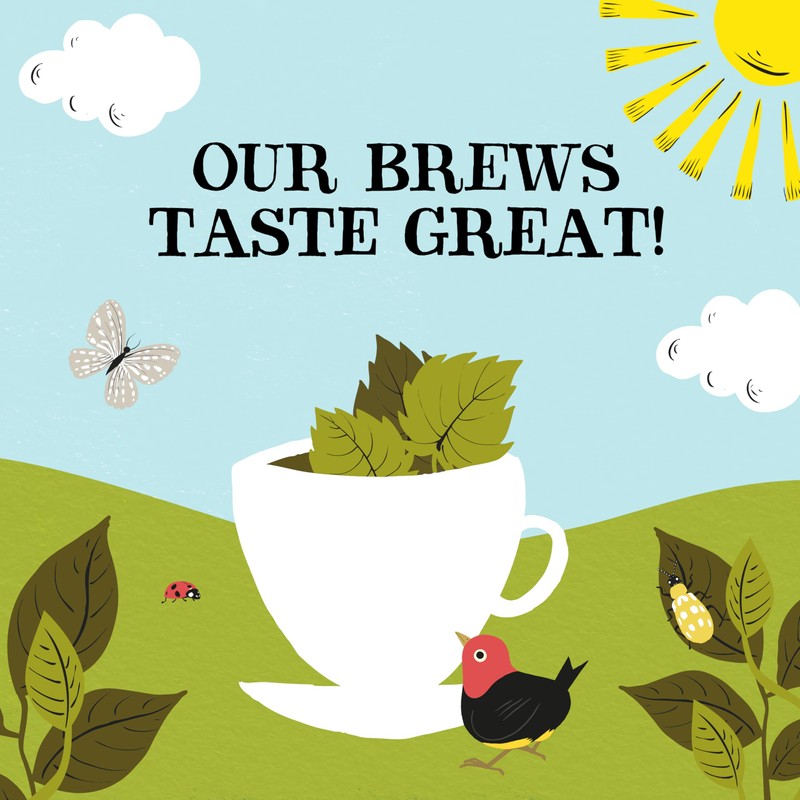 Clipper Organic Nettle Herbal Infusion Tea (20 Bags)