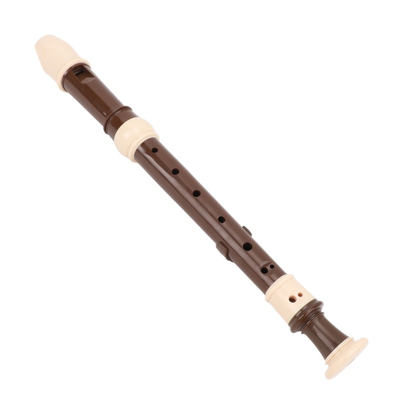 8 Hole Recorder Detachable Soprano Recorder Musical Instrument with Cleaning