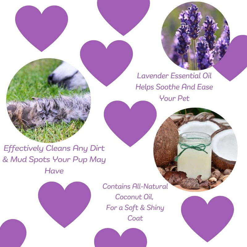 Speak Pet Products Natural Waterless Bath Spray, for Dogs, Calming