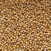 Frontier Co-op Yellow Mustard Seed Whole 1lb Kosher Non-GMO India