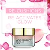 L’Oréal Paris Age Perfect Golden Age Rich Refortifying Cream -