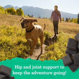 Zuke’s Hip and Joint Support Dog Treats for Adult Dogs of All Sizes, Senior Dog Treats made with Real Beef, 16 oz. Resealable Pouch​ - 16 oz. Bag