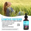 Organic Lymphatic Drainage Supplement | Lymphatic Support Drops | Burdock
