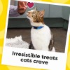 Temptations Crunchy & Soft Cat Treats - 16oz (Tasty Chicken