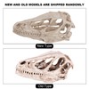Resin Dinosaur Skull Model Simulated Animal Skeleton Home Office Decor