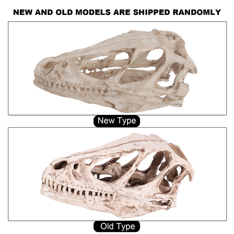 Resin Dinosaur Skull Model Simulated Animal Skeleton Home Office Decor