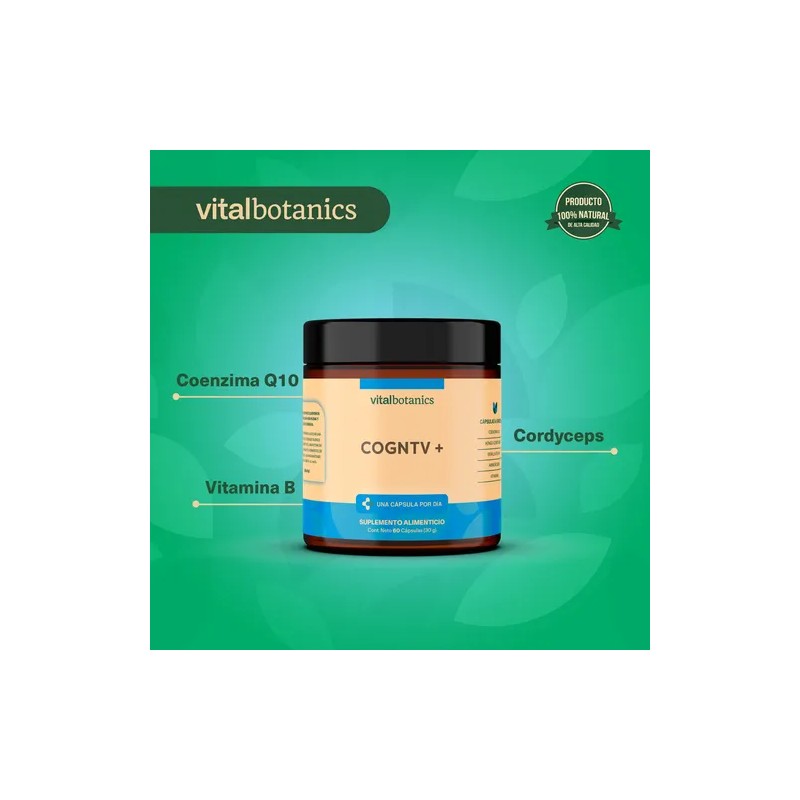 Vitalbotanics Nootropico Con Melena De Leon Con 60 Caps