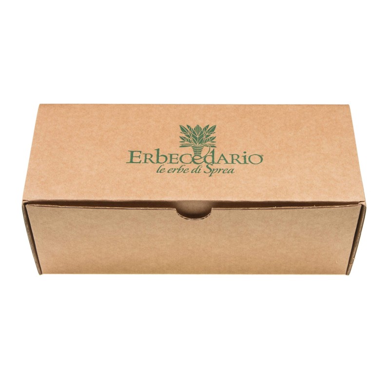 Erbecedario Body Brush with Tampico Natural Bristles for Dry Brushing