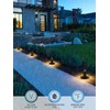 LEONLITE LED Low Voltage Pathway Lights, Unique Light Pattern, Landscape