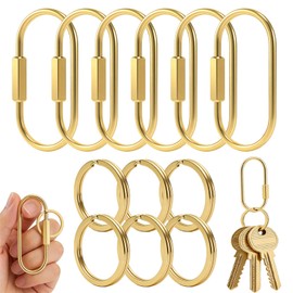 6Pcs Brass Gold Carabiner Oval Key Ring, Anti-Theft Screw Lock Keychain Clip Organizer with 6 O-Rings Keys Chain for Purse Bag Charm Handbags Backpack