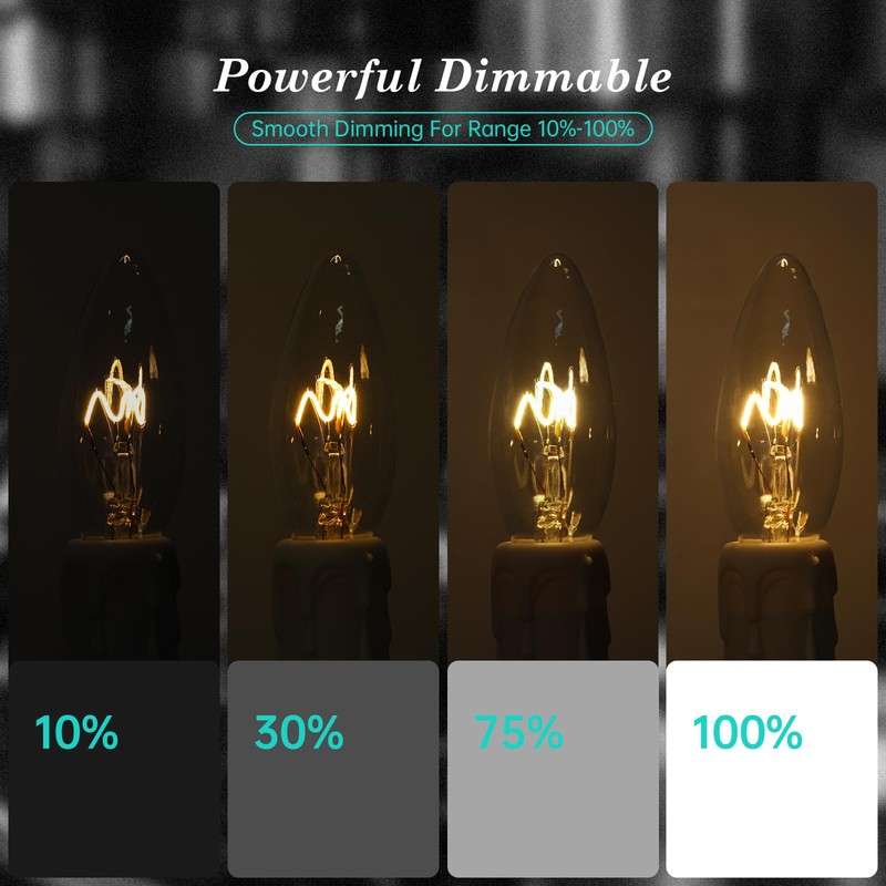 AMDTU E12 25 Watt Equivalent Clear Small Base LED Bulb