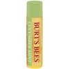 Burt's Bees 100% Natural Moisturizing Lip Balm, Cucumber Mint -