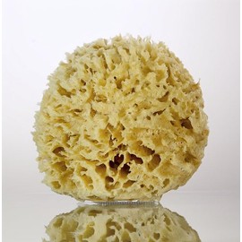 Natural Sea Sponge, Florida Rock Island Wool, 4.5-5 Inches, Small Size for Face and Body, Zero Waste, 100% Natural, Fully Biodegradable.