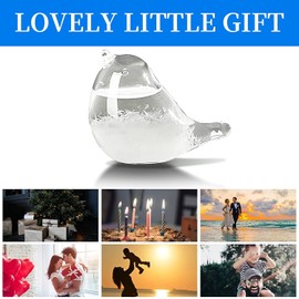 Womdee Weather Predicting Storm Glass, Bird Shape Storm Glass Weather Stations Weather Predictor Creative Forecast Decorative Weather Glass, Weather Predictor Scientific Gift for Christmas