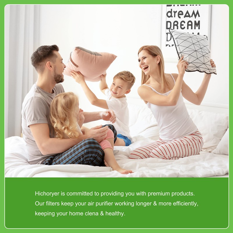 Hichoryer HSP002 Replacement Filter, Compatible with HATHASPACE® HSP002 Smart True