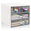 Zyners Desk Organizer with Drawer, Office Organizer with 4 Drawers,