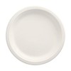 50 Plates Sugar Cane Pure Undivided Diameter 23 cm 2